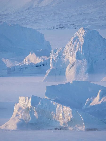 Icebergs frozen into the sea ice of the Uummannaq Fjord System during winter