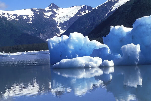 Icebergs at Portage Glacier, Alaska
