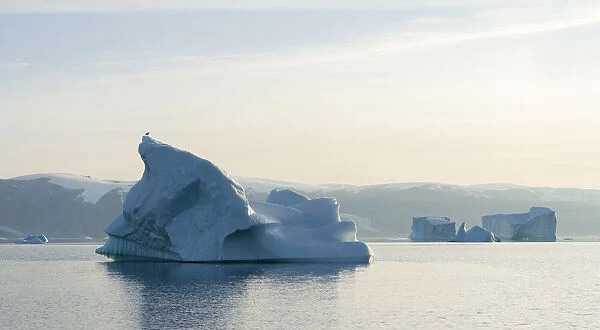 Icebergs in the Uummannaq fjord system, northwest Greenland, Denmark