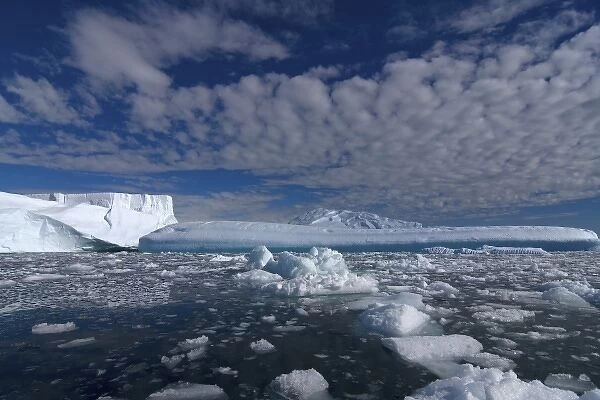 icebergs along the western Antarctic peninsula, Antarctica, Southern Ocean