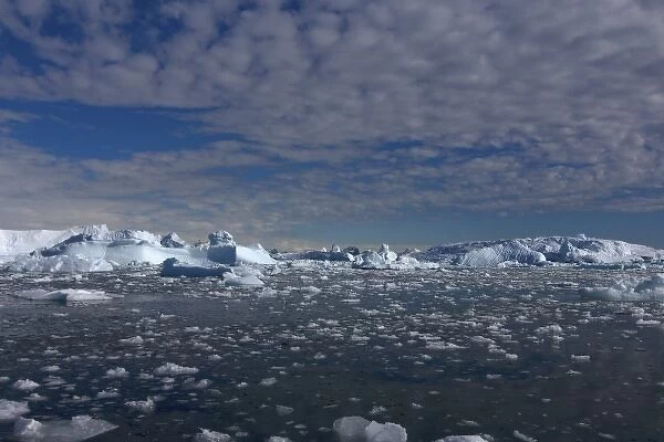 icebergs along the western Antarctic peninsula, Antarctica, Southern Ocean