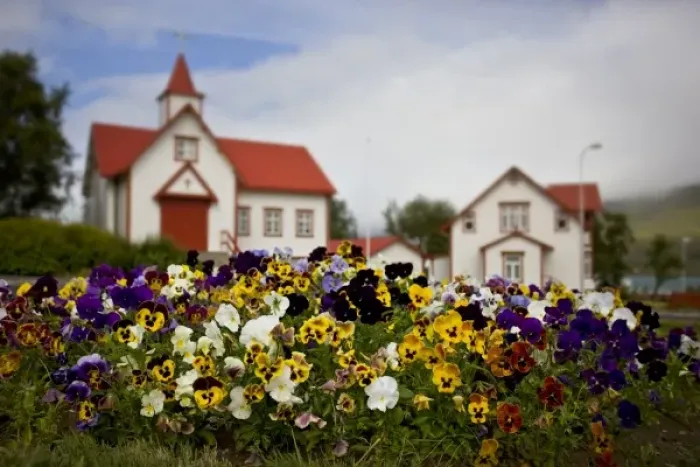 Framed Print : Iceland, Akureyri. Pansies in front of a church Framed Print : Iceland, Akureyri. Pansies in front of a church