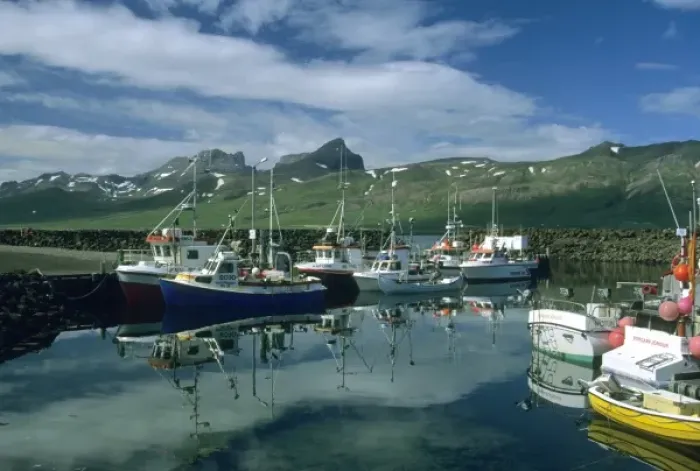 Framed Print : Iceland, Eastern Fjords, Borgarfiordur Evstri, fishing boats in harbor Framed Print : Iceland, Eastern Fjords, Borgarfiordur Evstri, fishing boats in harbor