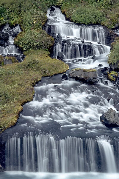 Iceland, Hraunfossar. Tiny cascades emerge from the lava to flow into the Hvita River