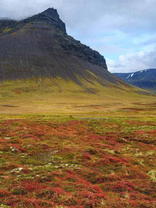 Framed Print : Iceland. Landscape in Dyrafjordur during autumn