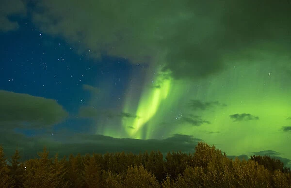 Iceland spectatular Northern Lights green in Reykholt Valley in West Iceland sky lights