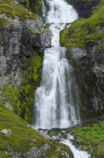 Iceland, Westfjords, Jokulflrdir, Lonagfjordur Nature Reserve (66a'16 33'