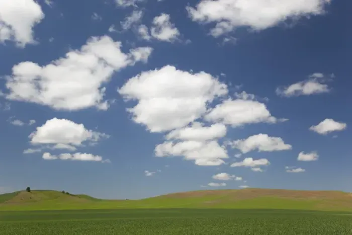 Framed Print : ID, The Palouse, Latah County, Green farm field, sky, and clouds, Genesee area Framed Print : ID, The Palouse, Latah County, Green farm field, sky, and clouds, Genesee area