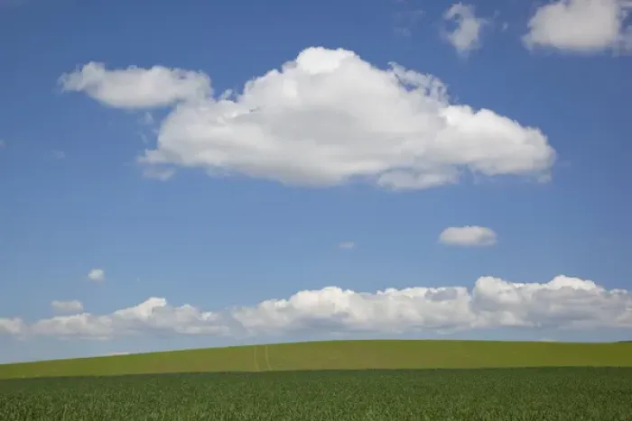 Framed Print : ID, The Palouse, Latah County, Green farm field, sky, and clouds, Genesee area