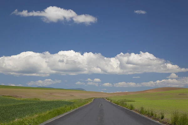 ID, The Palouse, Latah County, Road, farmland, and clouds