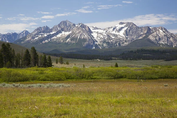 ID, Sawtooth National Recreation Area, Meadow and Sawtooth Mountains