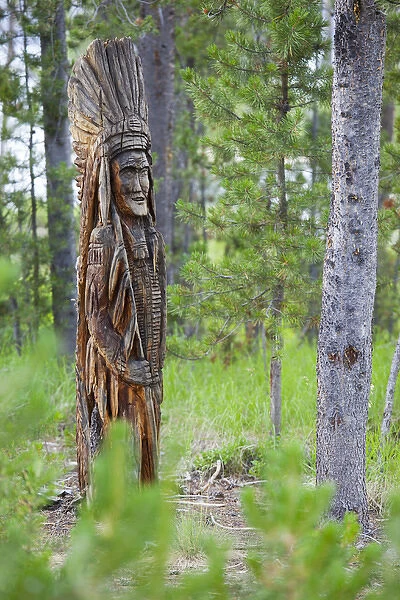 ID, Sawtooth National Recreation Area, Indian carving in forest tree, at Redfish Lake