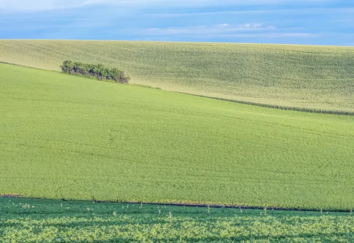 Framed Print : Idaho, Latah County. Spring farm fields Framed Print : Idaho, Latah County. Spring farm fields