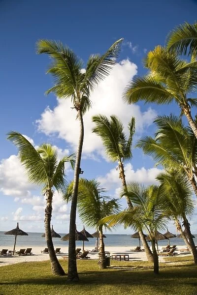 Idyllic Beach and Palm Trees near Le Prince Maurice Resort, Southeastern Mauritius