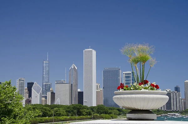 Illinois, Chicago. Downtown skyline view with flowers