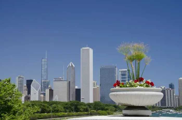 Framed Print : Illinois, Chicago. Downtown skyline view with flowers Framed Print : Illinois, Chicago. Downtown skyline view with flowers