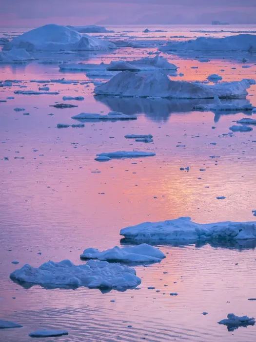 Framed Print : Ilulissat Icefjord also called kangia or Ilulissat Kangerlua, sunset over Disko Bay Framed Print : Ilulissat Icefjord also called kangia or Ilulissat Kangerlua, sunset over Disko Bay