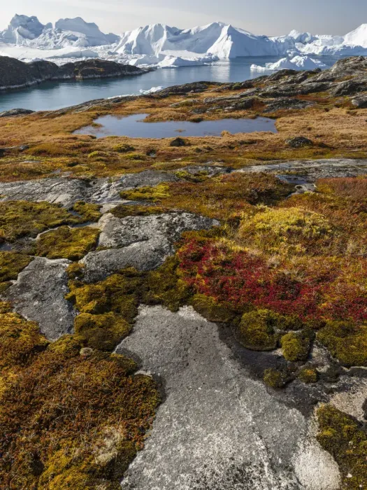 Framed Print : Ilulissat Icefjord, a UNESCO World Heritage Site, also called kangia or Ilulissat