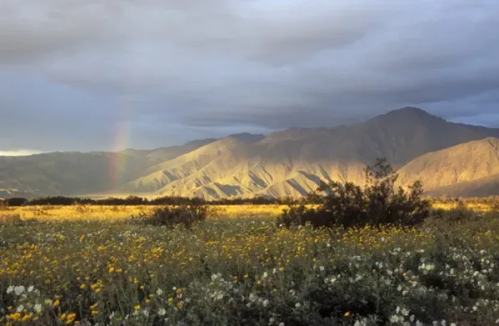 Framed Print : Image of rainbow during storm over Anza-Borrego Desert State Park, CA