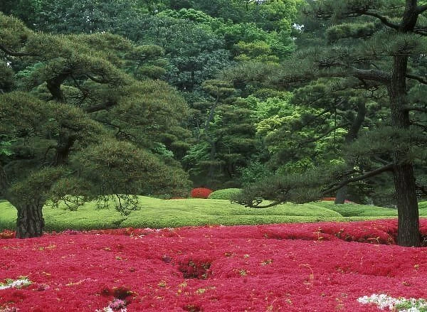 Imperial Palace Garden, Tokyo, Japan
