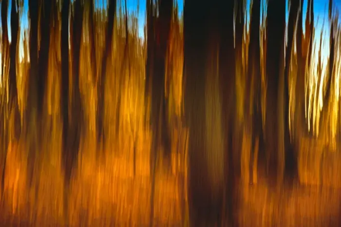 Framed Print : An impressionistic In-camera blur of colorful autumn trees