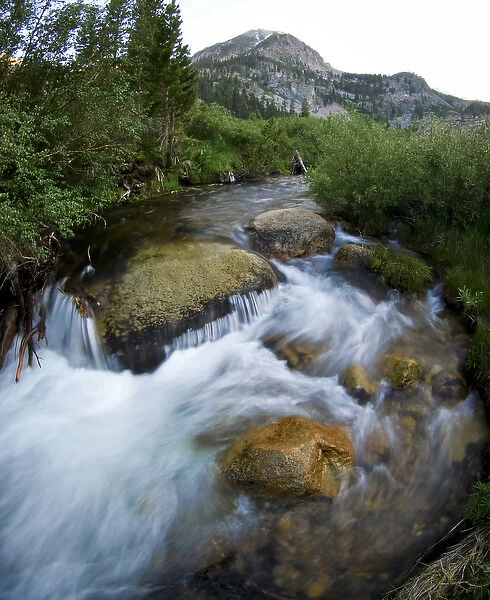 Independence Creek, Onion Valley, Eastern slope Sierra Nevada Mountains, California