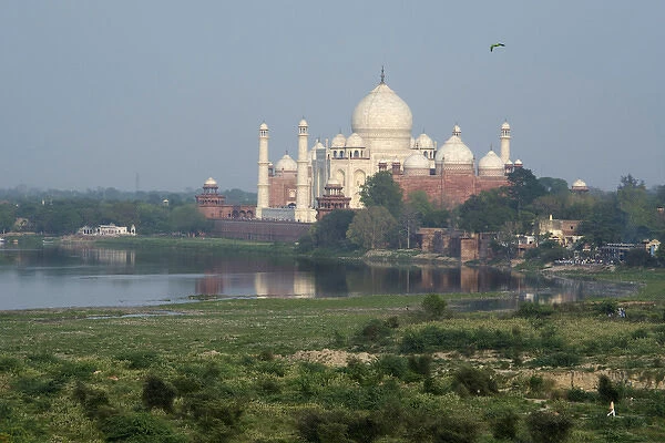 India, Agra. View of the Taj Mahal from the Red Fort of Agra. Sandstone fortress founded in 1565