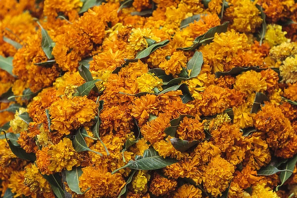 India, Delhi, Heap of marigold offerings