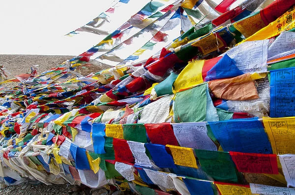 India, Jammu & Kashmir, Ladakh, Namshangla Pass strings of prayer flags