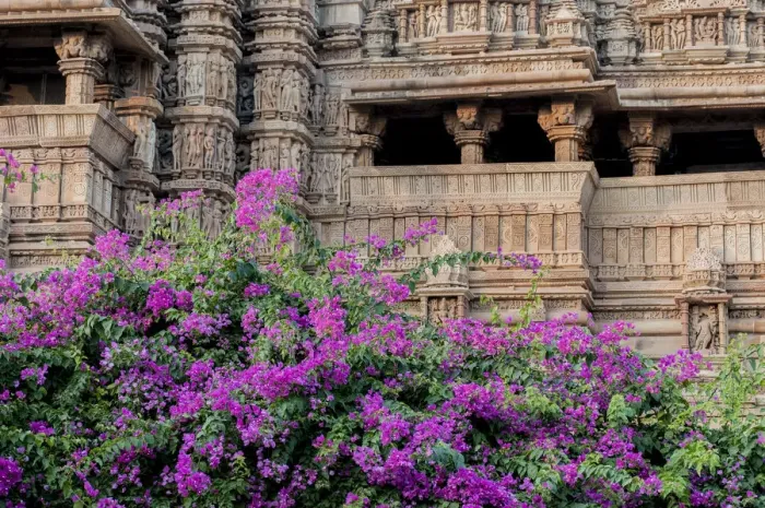 Framed Print : India, Khajuraho, Madhya Pradesh State Temple of Kandariya with bushes of bougainvillea Framed Print : India, Khajuraho, Madhya Pradesh State Temple of Kandariya with bushes of bougainvillea