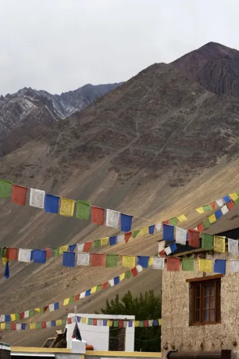 Framed Print : India, Ladakh, Alchi, colorful buddhist prayer flags with Himalayas in the background Framed Print : India, Ladakh, Alchi, colorful buddhist prayer flags with Himalayas in the background
