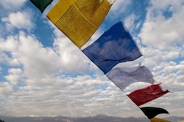 India, Ladakh, Leh, capital of Ladakh, red, yellow, blue, red, green and white prayer