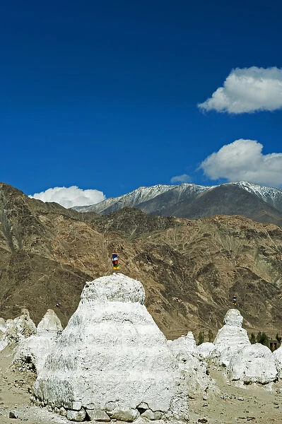 India, Ladakh, Shey, white stupa forest with Himalayas in the background