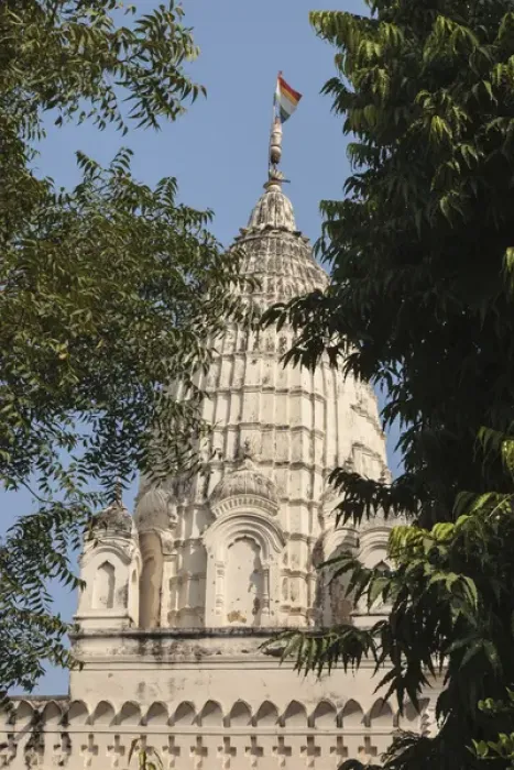 Framed Print : India, Madhya Pradesh, Chhatarpur District, View of Khajuraho Temple through trees