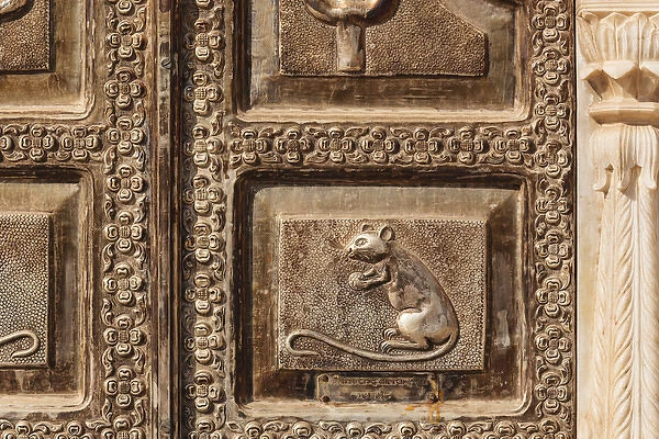 India, Rajasthan, Bikaner, Karni Mata Temple, Detail of rat on door