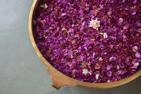 India, Rajasthan, Bikaner. Pink rose petals in traditional brass bowl