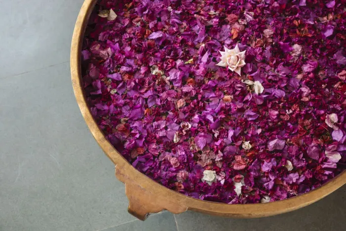 Framed Print : India, Rajasthan, Bikaner. Pink rose petals in traditional brass bowl Framed Print : India, Rajasthan, Bikaner. Pink rose petals in traditional brass bowl