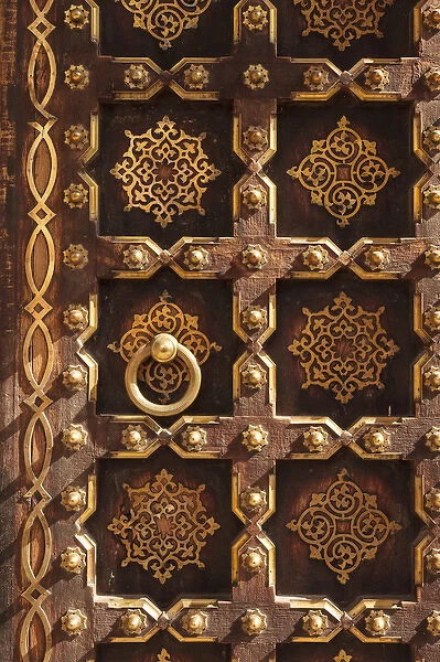 India, Rajasthan, Jaipur, Detail of traditional styled door
