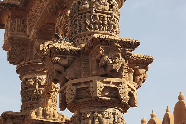 India, Rajasthan, Jaisalmer. Birds nest on ancient rock carving at the Jain Temple