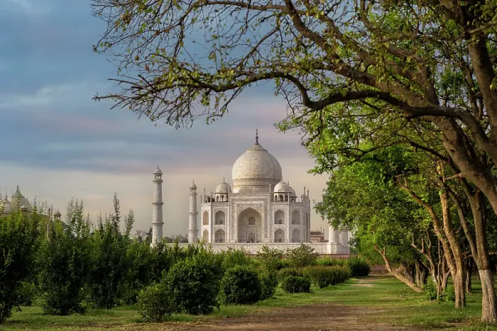 Framed Print : India, Uttar Pradesh, Agra. Taj Mahal, seen from an orchard and tree lined view in early morning light Framed Print : India, Uttar Pradesh, Agra. Taj Mahal, seen from an orchard and tree lined view in early morning light