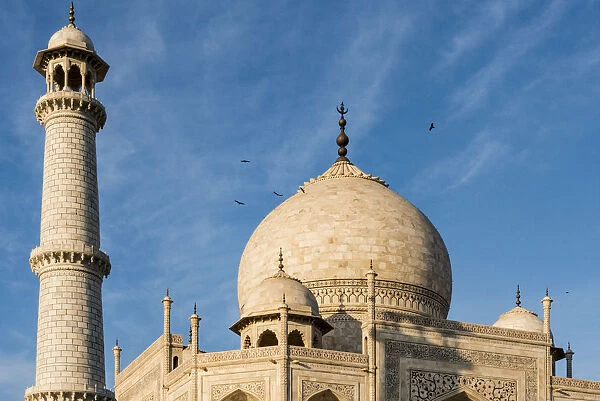 India, Uttar Pradesh. Agra. No Water No Life expedition, Taj Mahal tomb dome and minaret