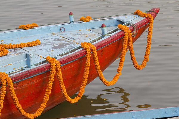 India, Uttar Pradesh, Varanasi. garlands of marigold adorn a small boat headed out