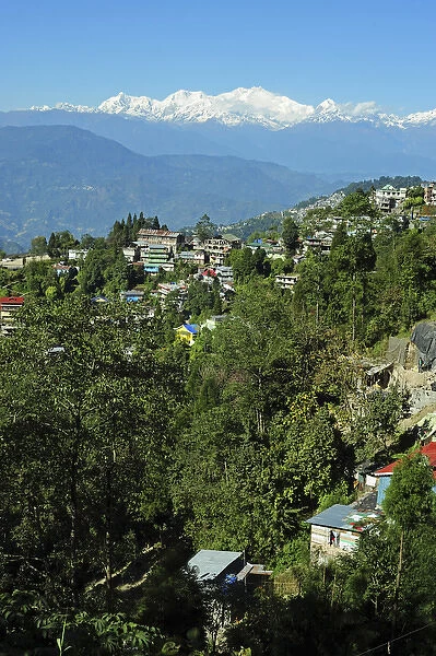 India, West Bengal, Darjeeling