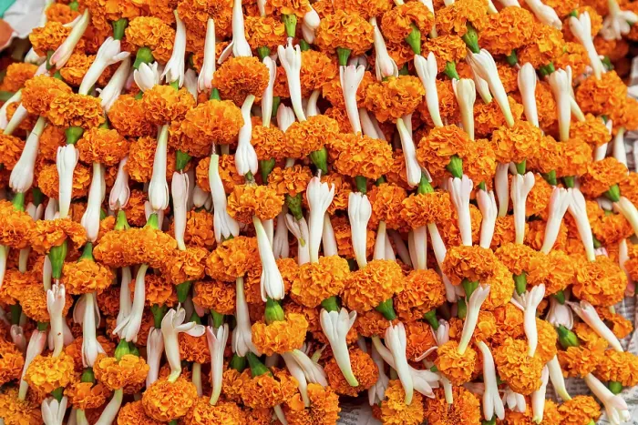 Framed Print : India, West Bengal, Kolkata, Jorasanko. Marigolds for sale