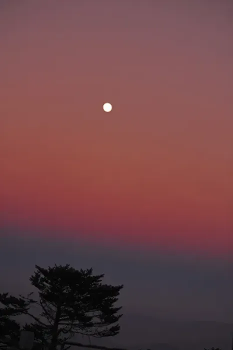 Framed Print : India, West Bengal, Singalila National Park, Sandakfu, moonrise at pink sunset