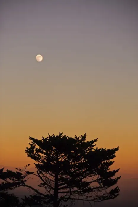 Framed Print : India, West Bengal, Singalila National Park, Sandakfu, moonrise