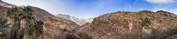 Indian Canyons, Palm Springs, California