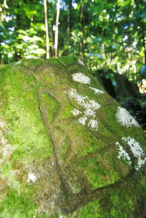 Framed Print : Indian petroglyphs at Stonefield Estate, St Lucia, Caribbean Framed Print : Indian petroglyphs at Stonefield Estate, St Lucia, Caribbean