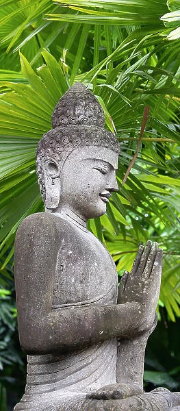 Indonesia, Bali. Buddha statue with green palms