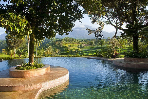 Indonesia, Java. Landscape with pool and rice terraces at resort